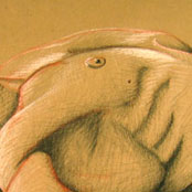 Untitled Nude Male